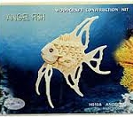 Angel Fish (In stock:118)
