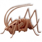 Cricket (Qty In Stock:23)